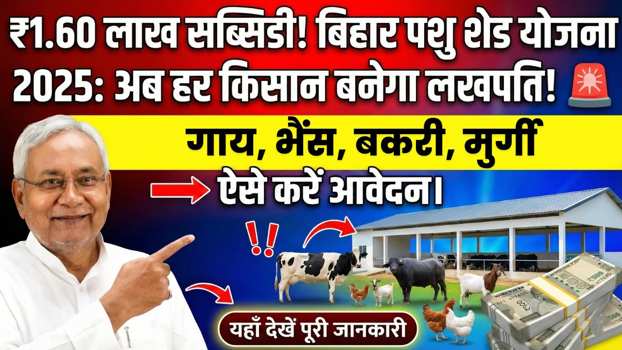 Bihar Pashu Shed Yojana 2026: ग्रामीण पशुपालकों के लिए मजबूत शेड बनाने पर मिलेगी ₹1.60 लाख तक सहायता 1 Bihar Pashu Shed Yojana 2026